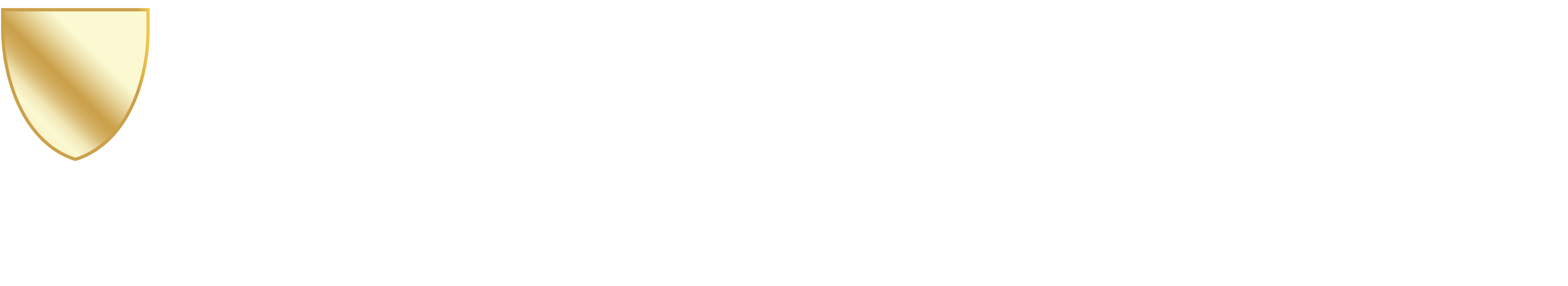 Leisure Guard Insurance Services Logo